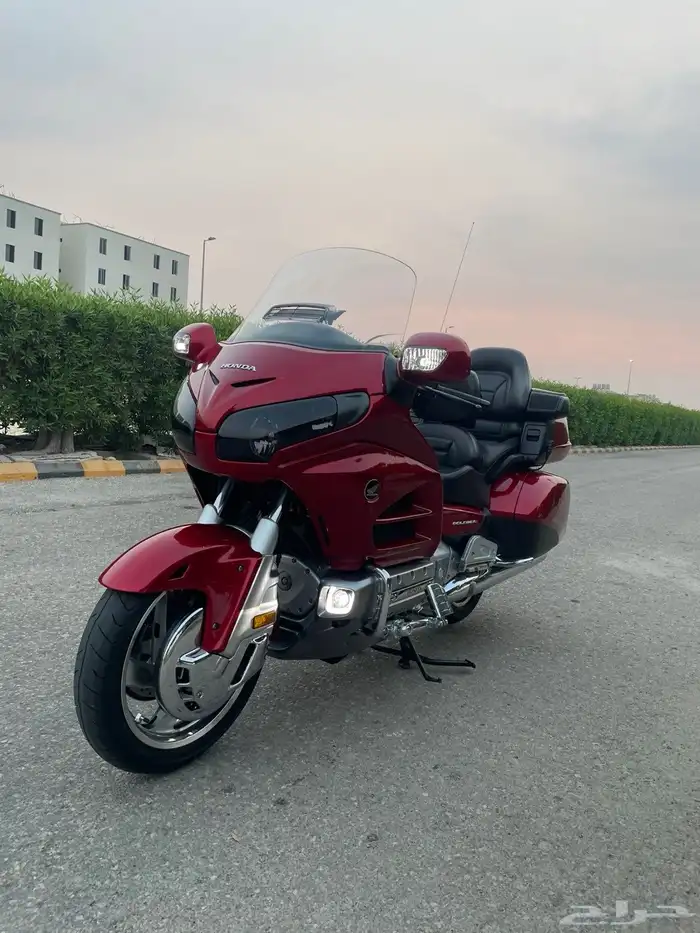 قولد وينق 2014 3