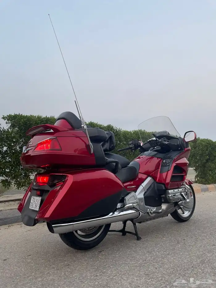 قولد وينق 2014 1