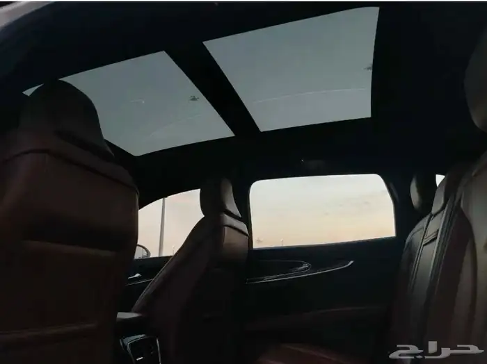 لينكون نوتيلوس Reserve 2022 26