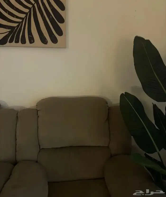 كنب هوم بوكس للبيع 3