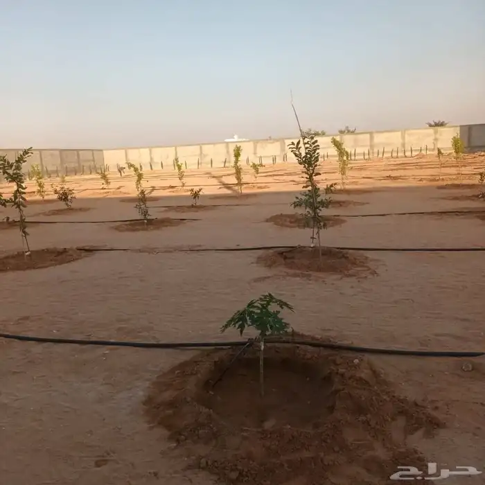 تركيب شبكات ري القصيم تنسيق حدائق 2