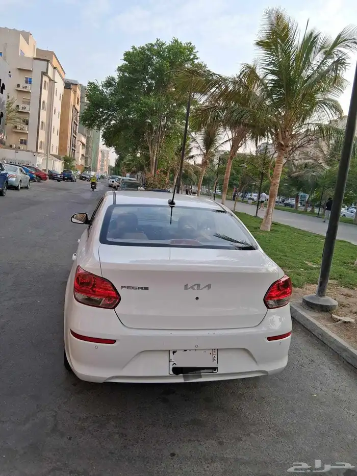 كيا بيجاس 2024 6