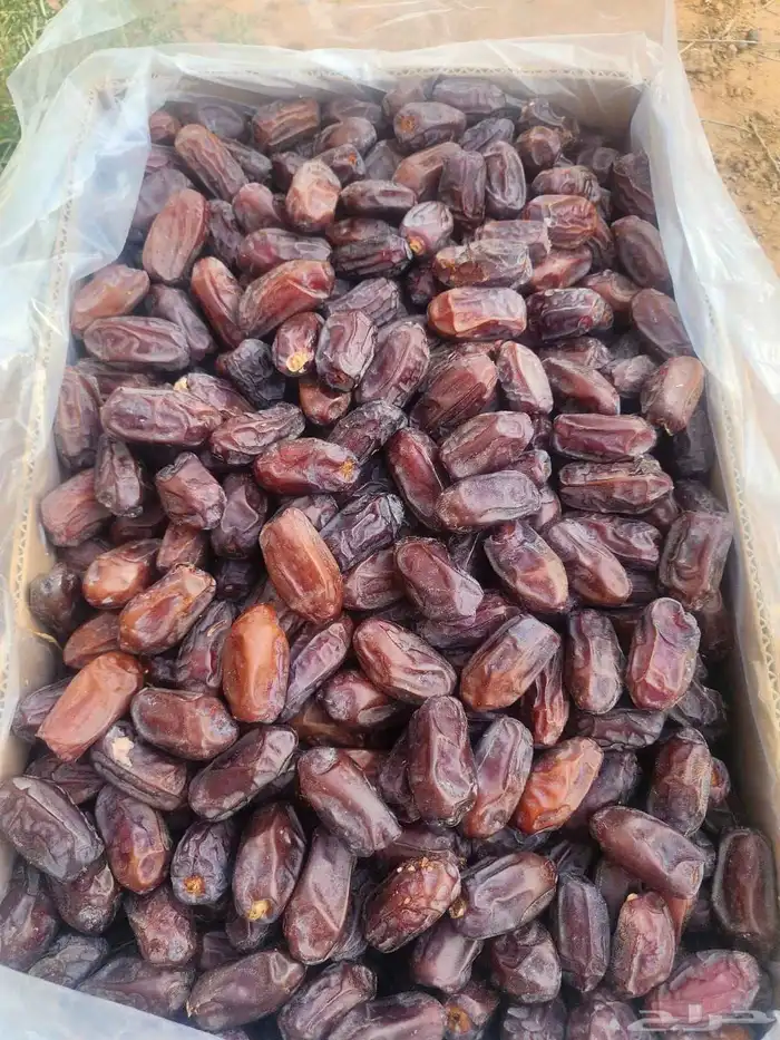 خضري كميه محدوده 1