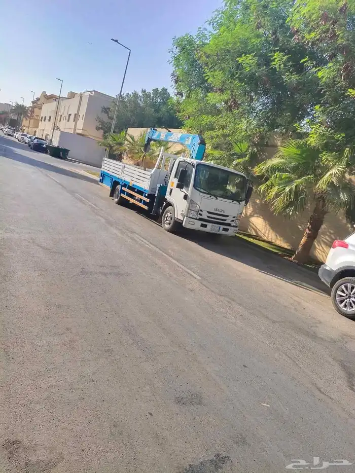 دينا ونش NQ 0