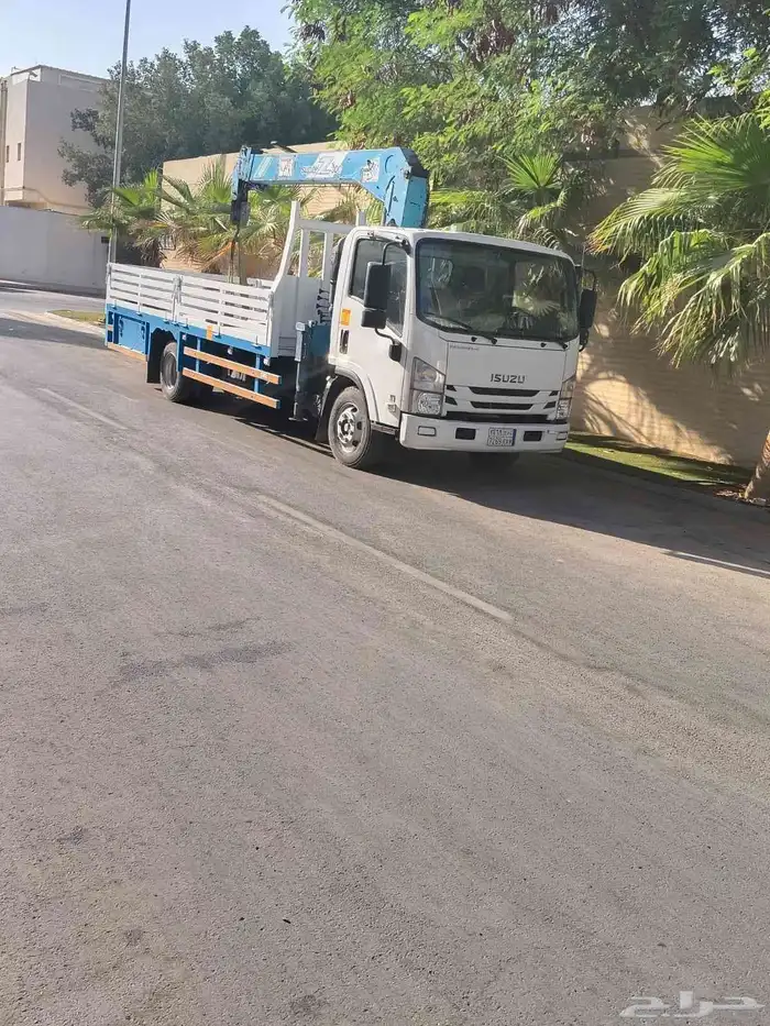 دينا ونش NQ 1