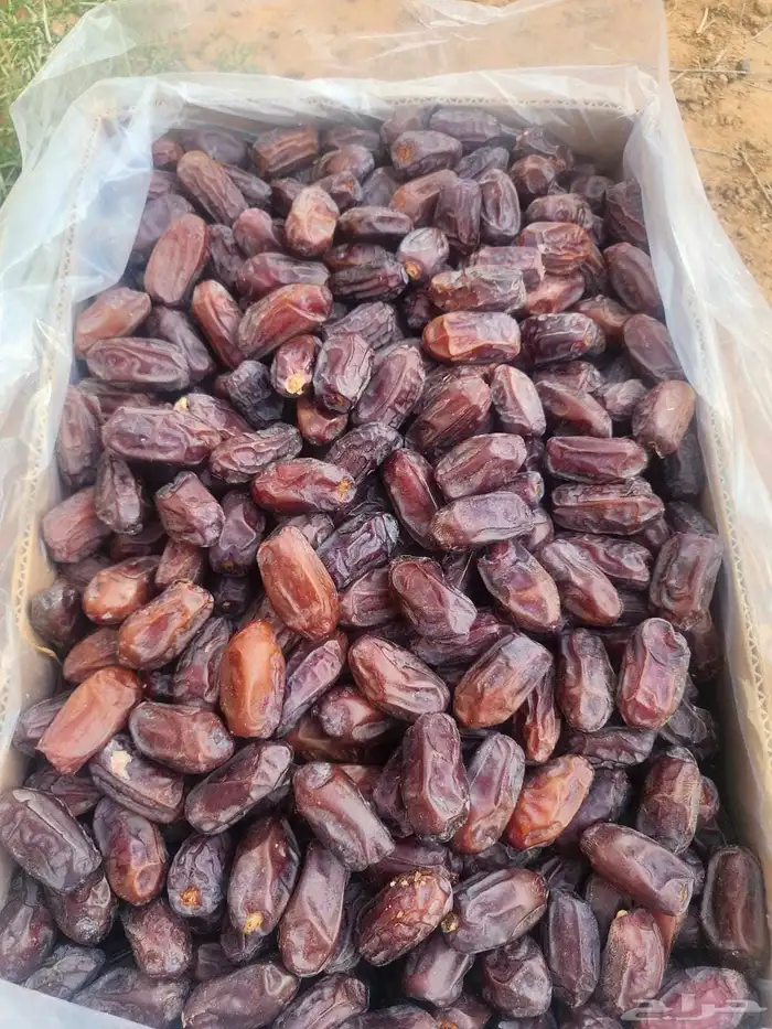 خضري كميه محدوده 0