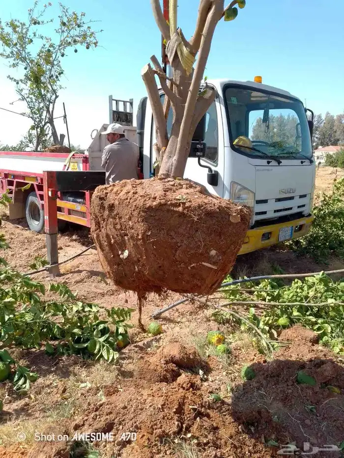 تكريب وقلع وغرس النخل والاشجار وكل شيء يخص الزراعه 2