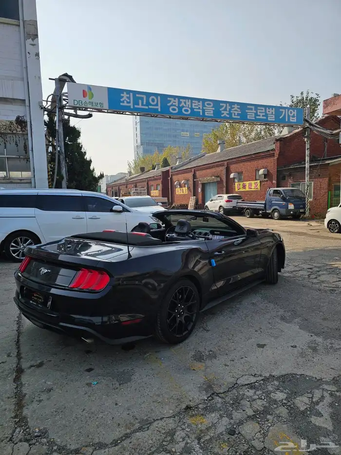 موستنج 2021 كشف 3