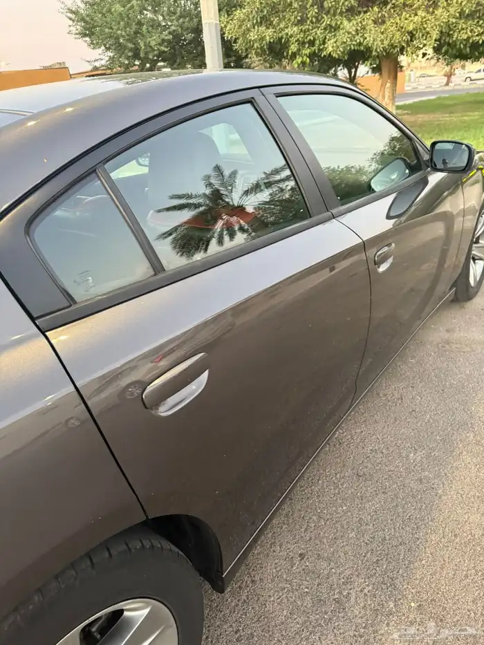 Dodge charger 2019 standard 7