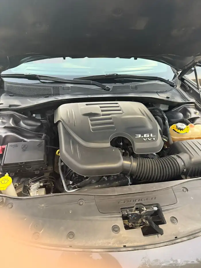 Dodge charger 2019 standard 0