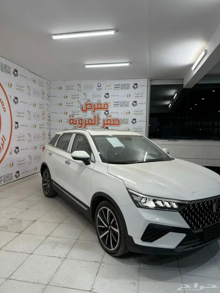 فاو بيستيون 2025 2