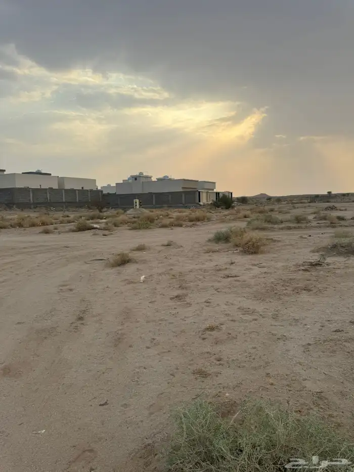 أرض للبيع في حي السنبلة الدوادمي   موقع ممتاز على شارع 20م 1