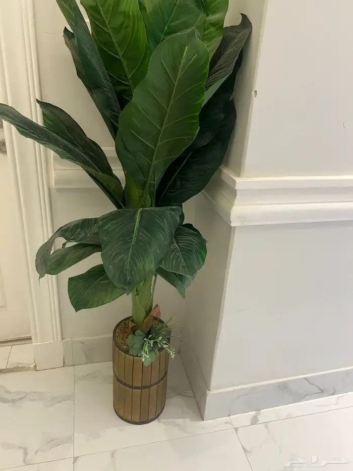 طاولة طعام 1