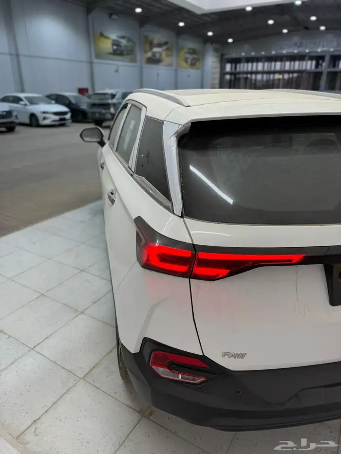 فاو بيستيون 2025 4