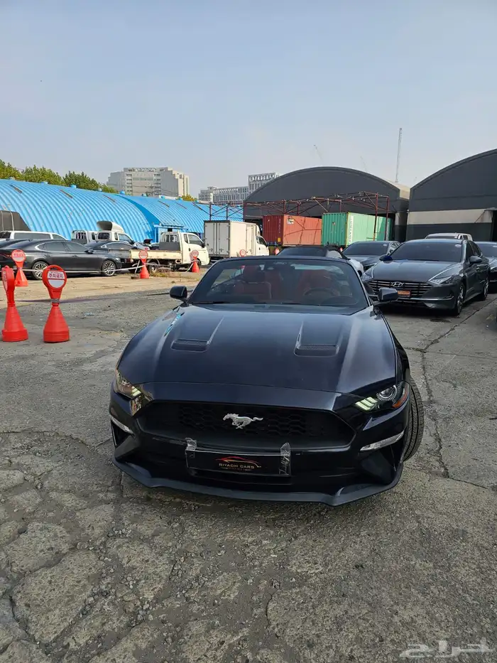 موستنج 2021 كشف 1