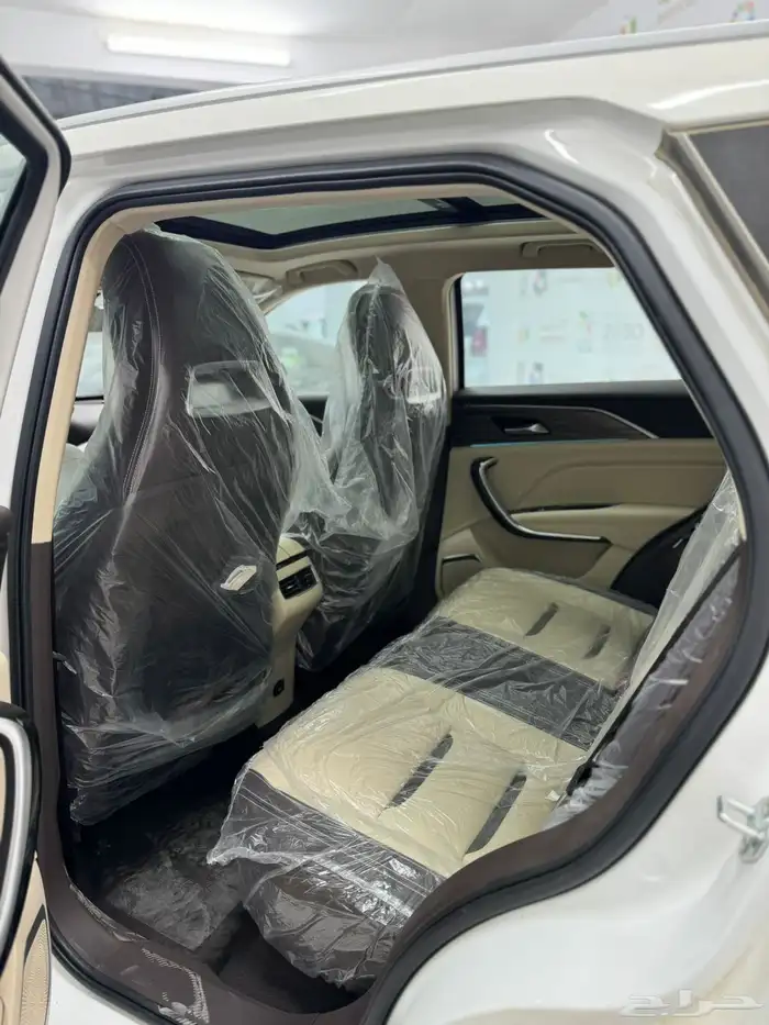 فاو بيستيون 2025 6