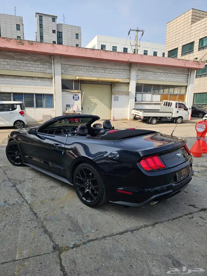 موستنج 2021 كشف 2