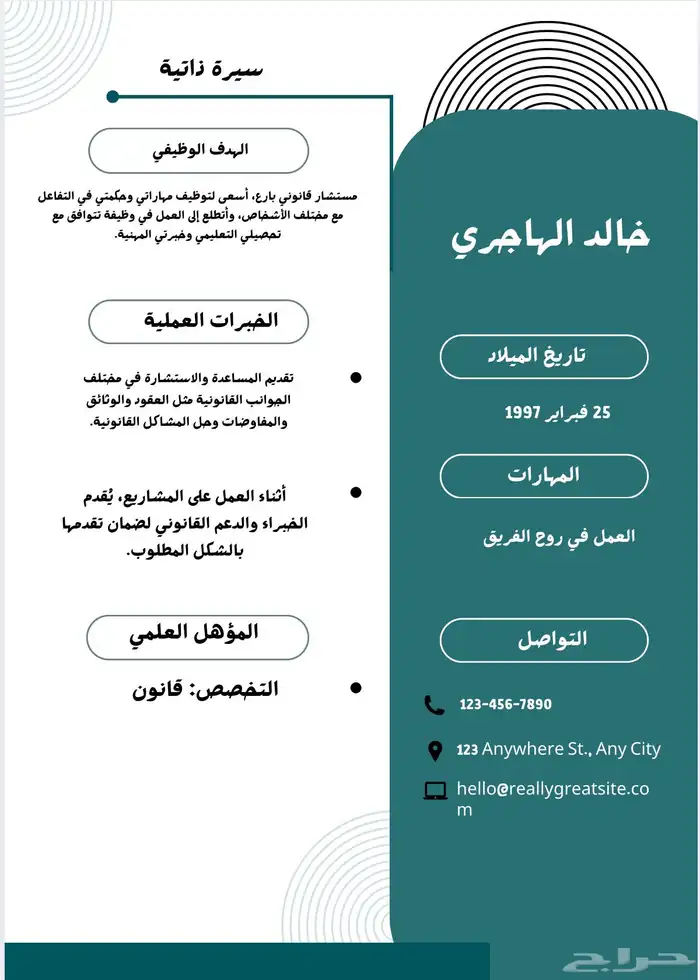 سيرة ذاتية احترافية (ATS) 1