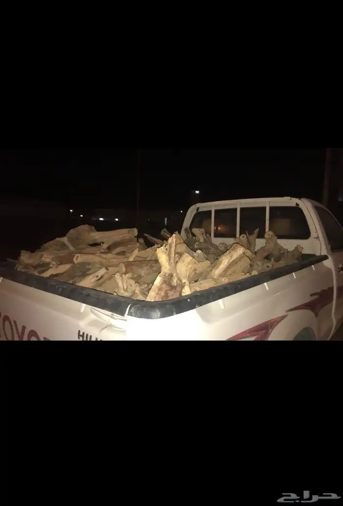 حطب مستورد على كيفك 1