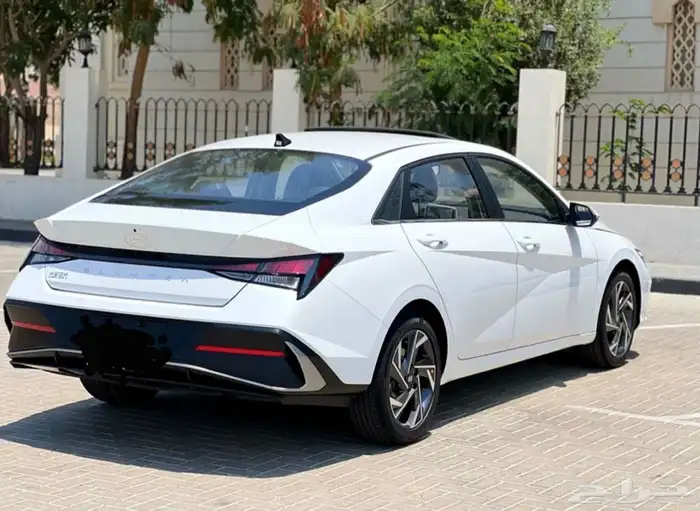 النترا 2025 فل الفل جديد 0