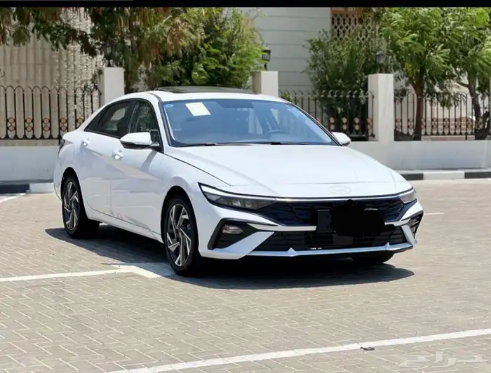 النترا 2025 فل الفل جديد 1