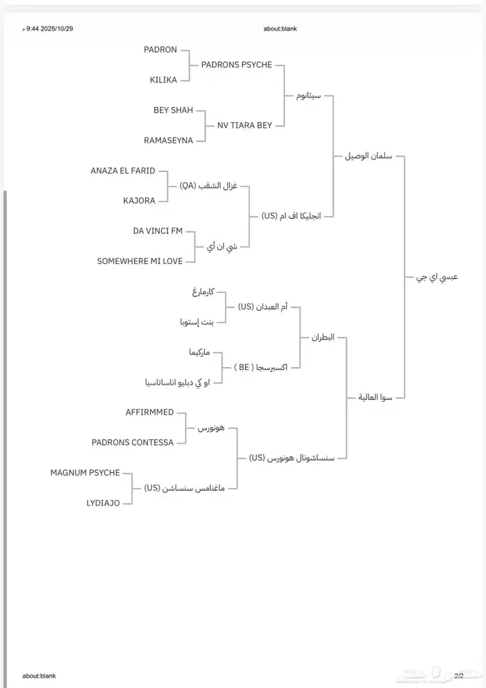 حصان عربي باوراق 5