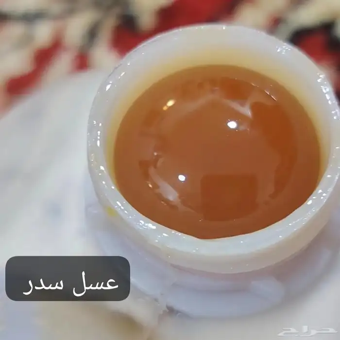 المملكة العربية السعودية 1