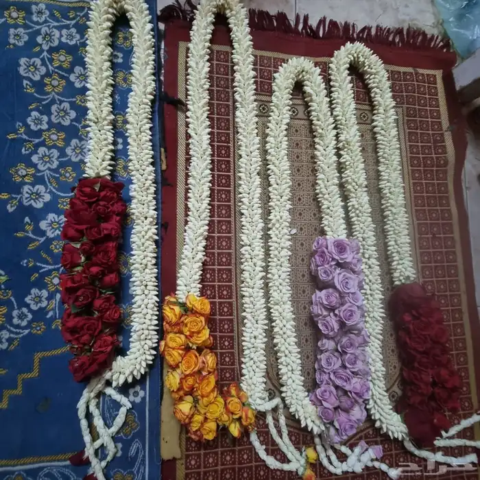 فل أشكال وأنواع 51