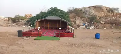 مخيم للايجار ابرق الرغامة مريخ 0