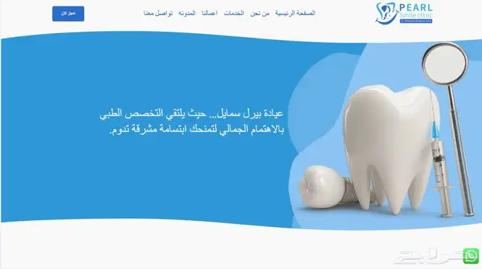 تصميم موقع إلكتروني احترافي   برمجة بالكود ووردبريس 1