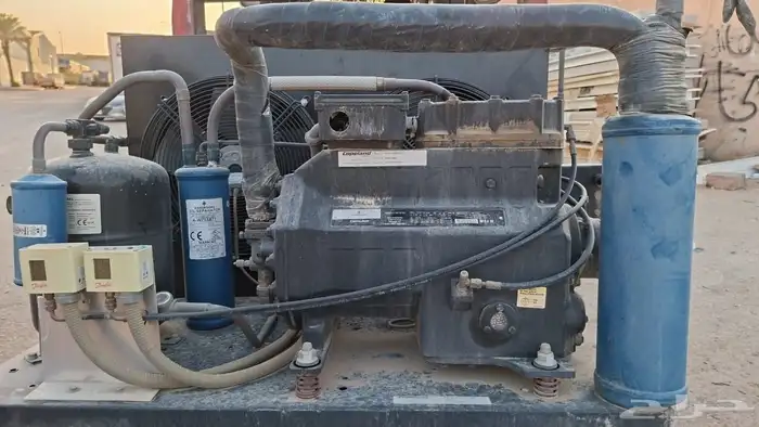 مخازن تجميد تبريد تمور دجاج ورد صناعي وتجاري 6