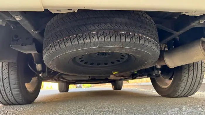 دينالي 2009 13