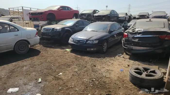 قطع كابرس ولومينا 14