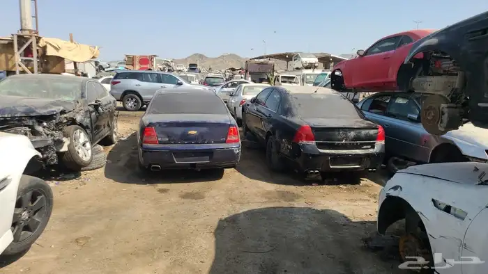 قطع كابرس ولومينا 13