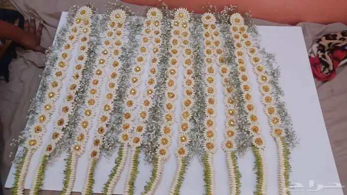 فل أشكال وأنواع 9