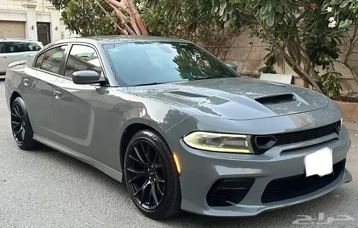 للبيع دوج تشارجر 2019. 1