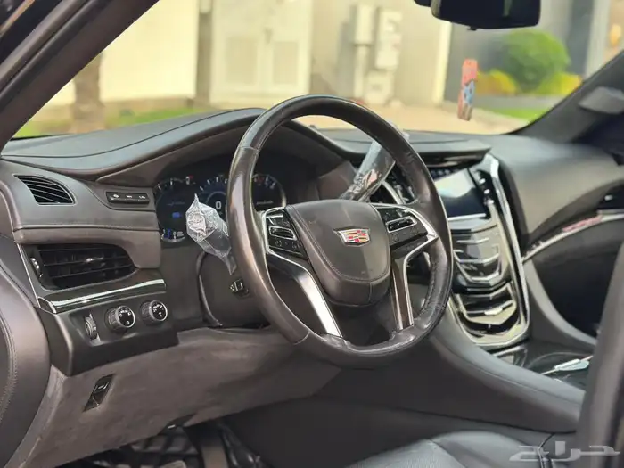 كاديلاك اسكاليد بلاتينيوم 2020 12