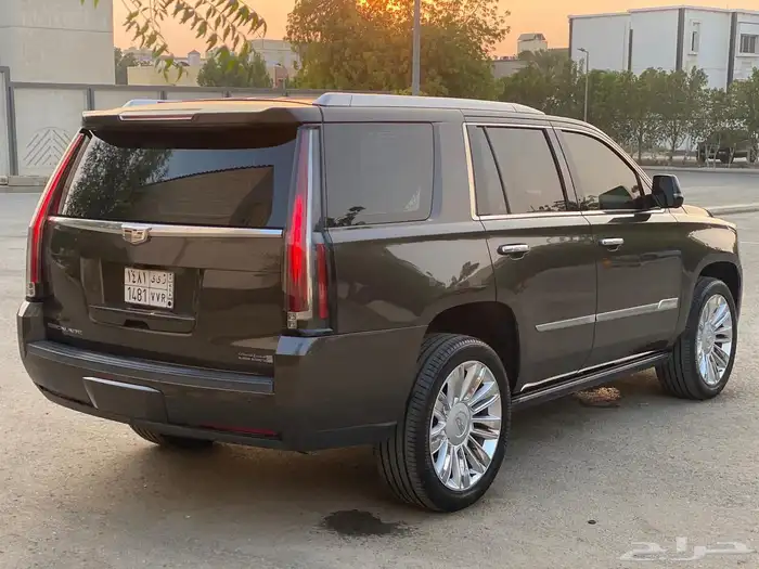 اسكاليد 2020 (الجميح) 5