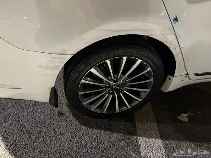 كادينزا 2017 . 11