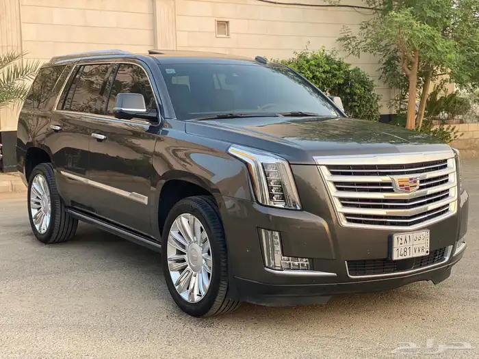 اسكاليد 2020 (الجميح) 6