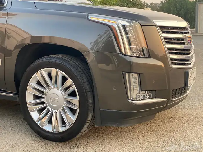 اسكاليد 2020 (الجميح) 7