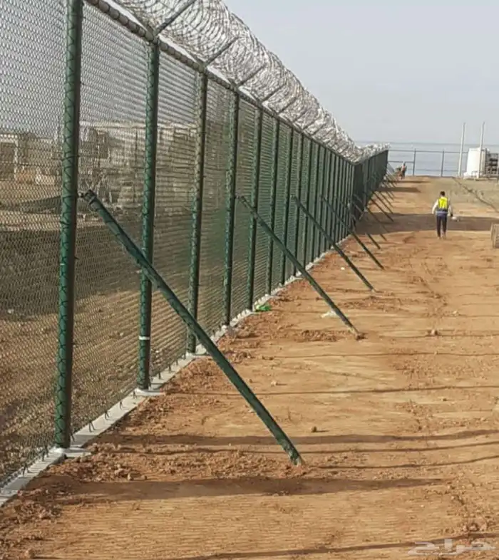 يوجد لدينا توريد جميع انواع نخيل وشبوك 2