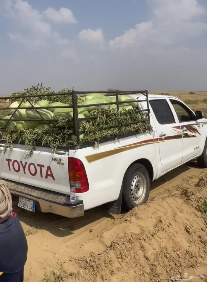 حبحب حملة هيالكس 0