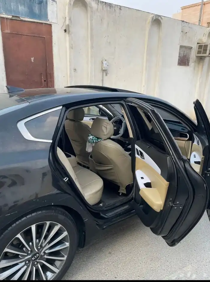 كادينزا 2018 7