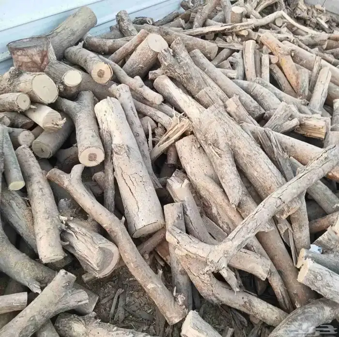 حملة صندوق شاص حطب سمر افريقي مستورد 2