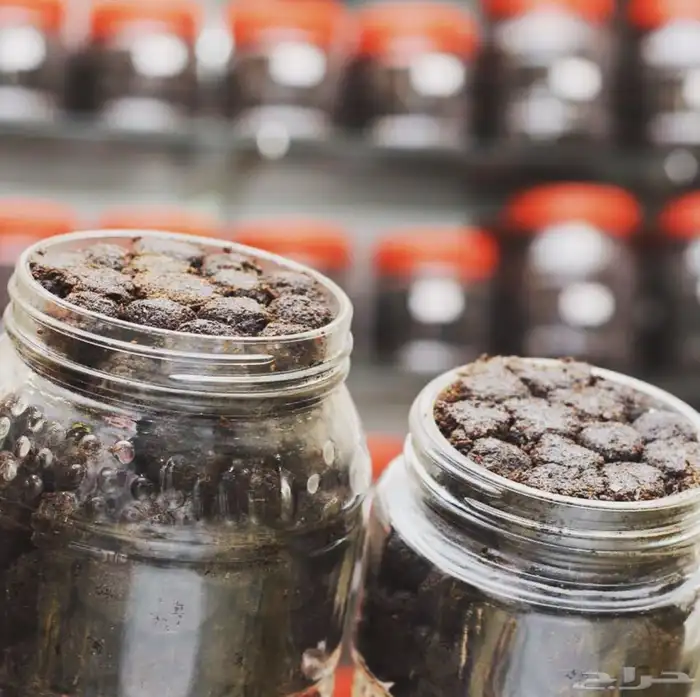 معمول وبخور دوسري ام ناصر أصلي 1