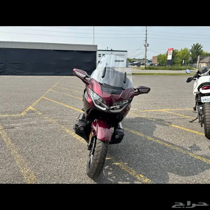 للبيع دباب هوندا قولدوينق اصفار 2025 2