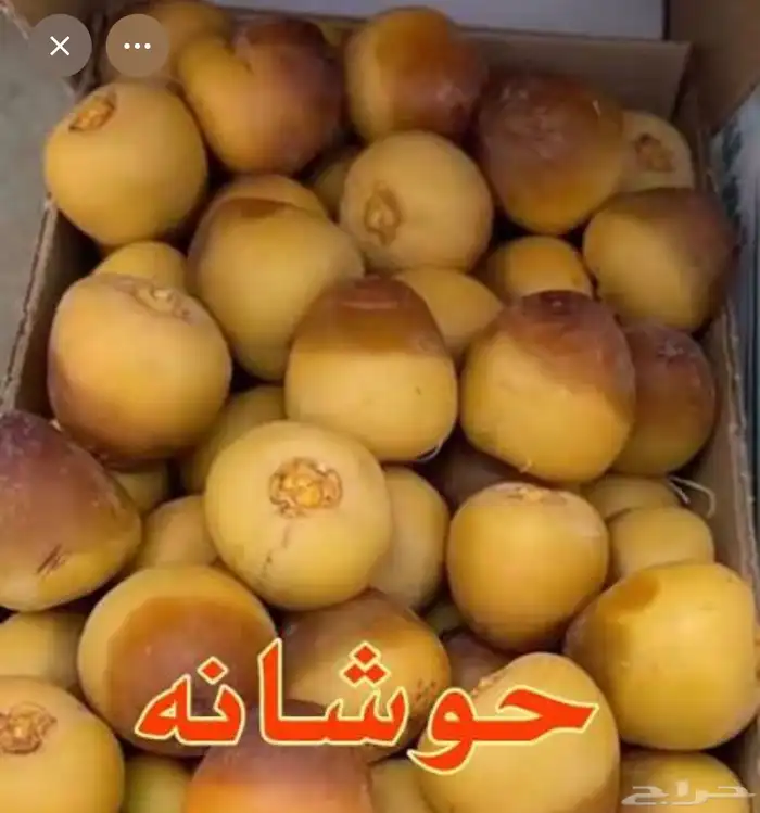 فسايل نخيل حوشانه للبيع 0