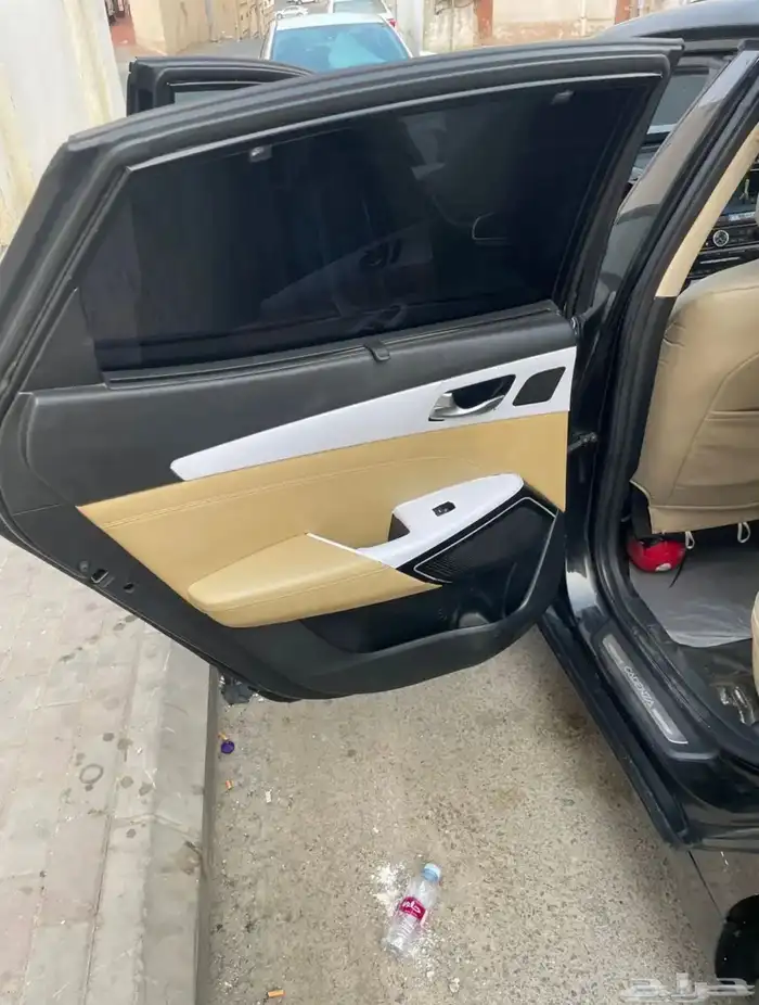 كادينزا 2018 8