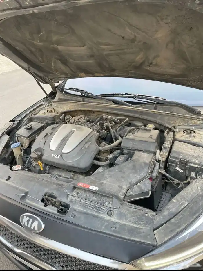 كادينزا 2018 5